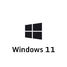 Windows 11